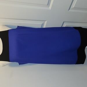 LOFT Purple & Black Sleeveless Shift Dress Jumper Colorblock Size 12